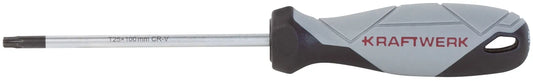 BASIC LINE SCHRAUBENDREHER TX T25 X 100 MM KRAFTWERK BASIC LINE