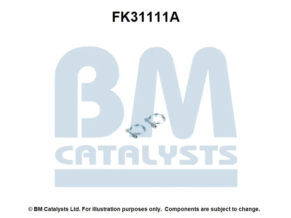 BM Catalysts Originalabbildung FK31111A