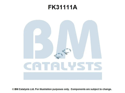 BM Catalysts Originalabbildung FK31111A