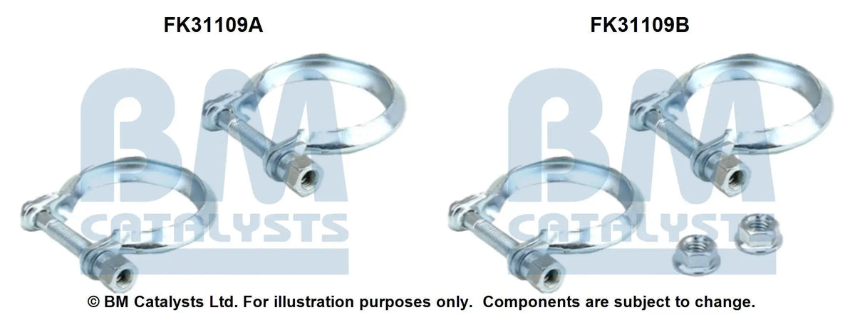 BM Catalysts Originalabbildung FK31109A