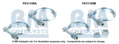 BM Catalysts Originalabbildung FK31109A