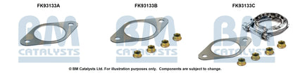 BM Catalysts Originalabbildung FK93133A