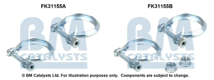 BM Catalysts Originalabbildung FK31155A