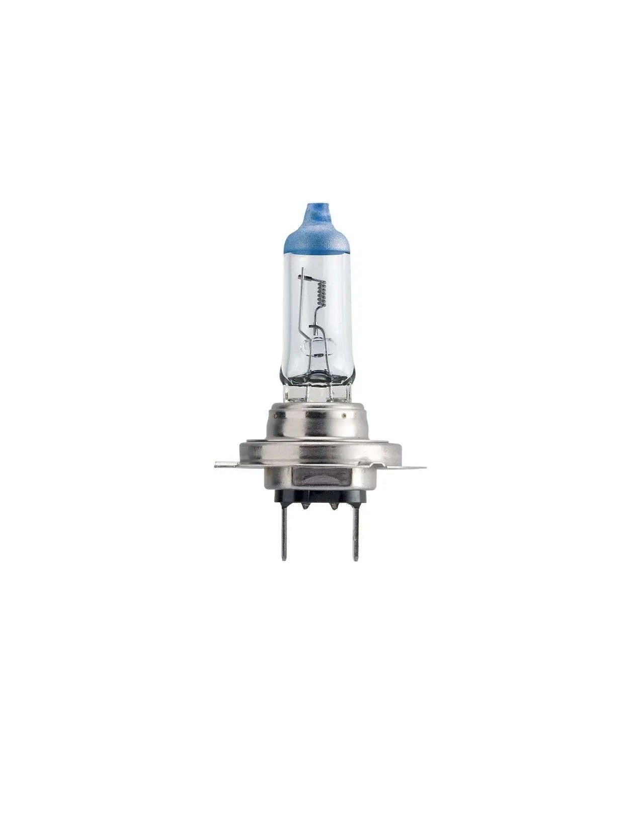 H7 24V 70W PX26d Halogen MasterDuty BlueVision 1St Philips - Samsuns Group